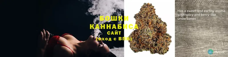 Каннабис SATIVA & INDICA  мега tor  Волчанск  цена  